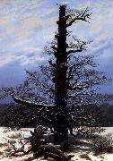 Caspar David Friedrich The Oaktree in the Snow oil on canvas